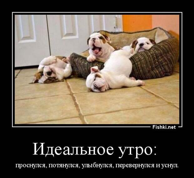 Демотиваторы  демотиваторы, прикол, смех, юмор