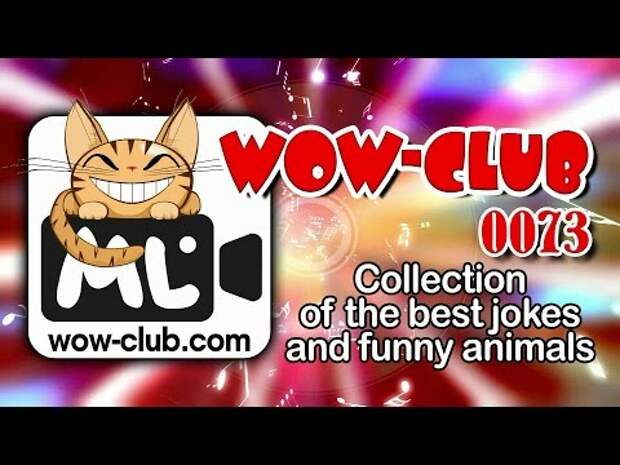 WOW-club #0073. Collection of the best jokes and funny animals