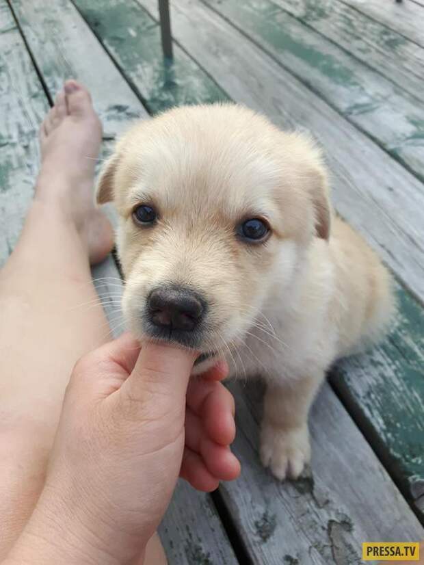 Прикольные фотографии - Субботний выпуск (53 фото)
