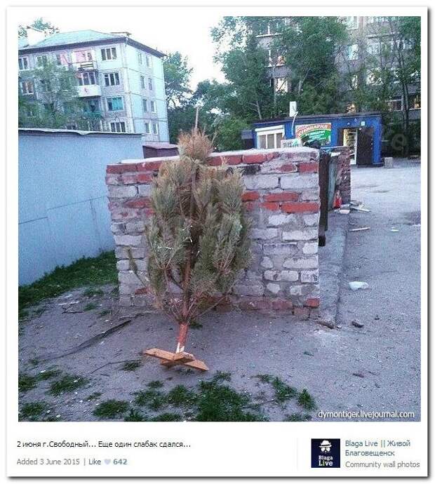 Смешные комментарии из социальных сетей (28 фото)