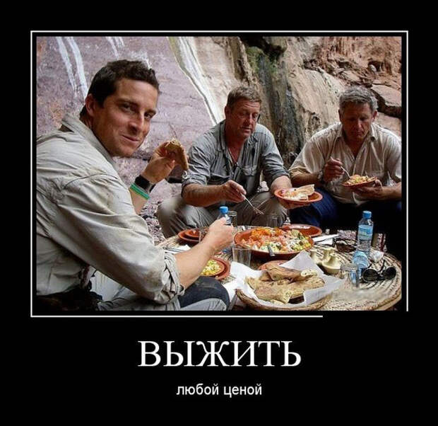Демотиваторы (30 фото)