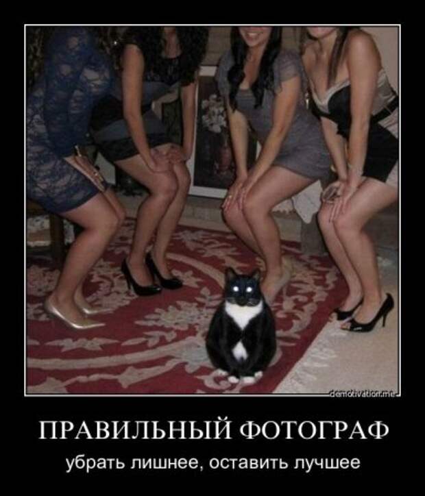 Демотиваторы, прикольные картинки, лучшие за неделю.