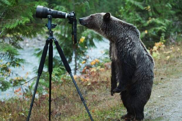 Только запах от фотографа какой - то странный остался.. животные, природа, фотоаппарат