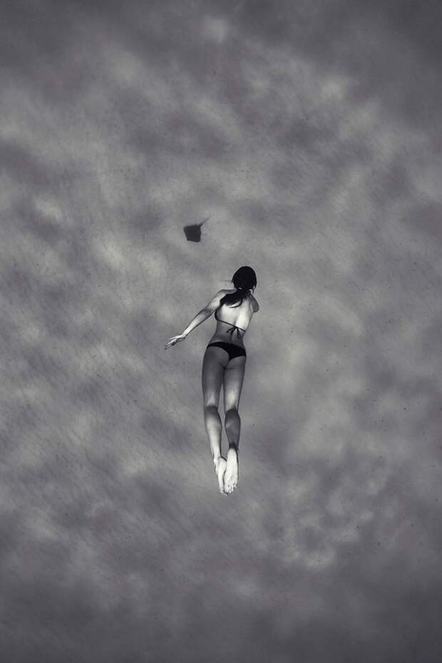 Подводная красота фотографий Энрика Адриана Генера (Enric Adrian Gener)