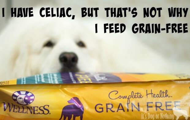 An interesting encounter really made me think about how I feed my dogs. Here's why I feed my Great Pyrenees grain-free dog food #GrainFreeForMe