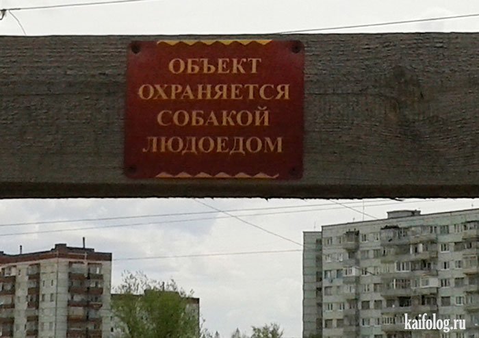День охранника (45 фото)