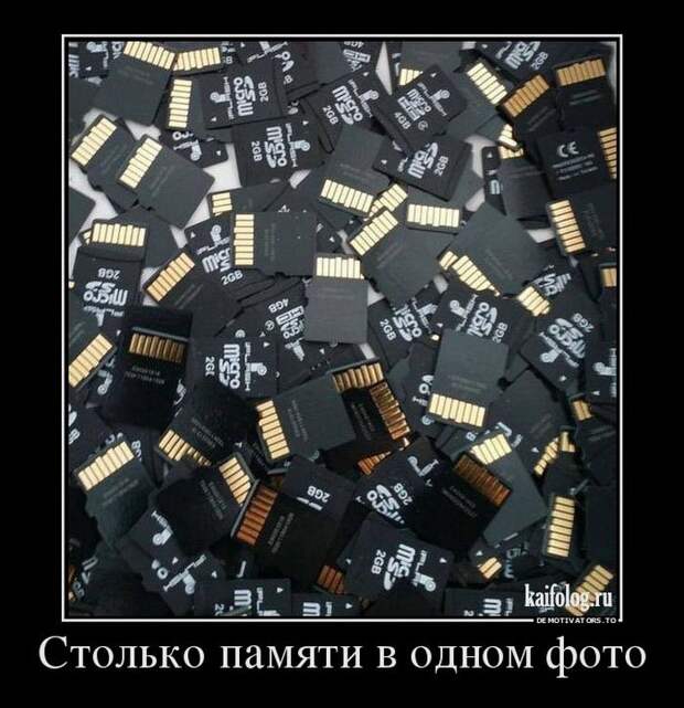 Смешные демы - 264 (50 картинок)