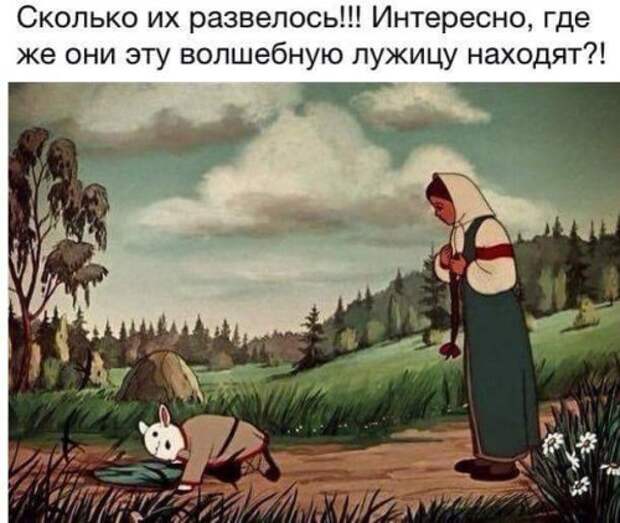 Прикольные картинки в ассортименте (38 шт)