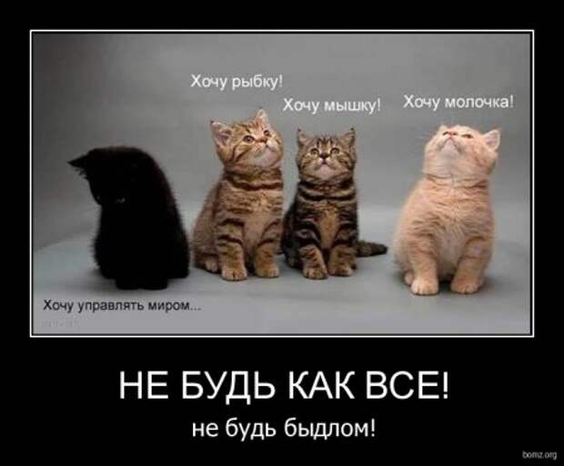 Демотиваторы смешные прямо тут и сейчас!