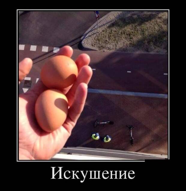 Демотиваторы (30 фото) Демотиваторы (30 фото)