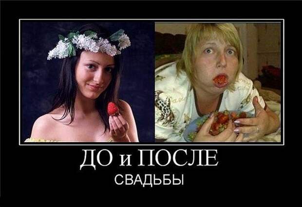 Демотиватор Демотиватор