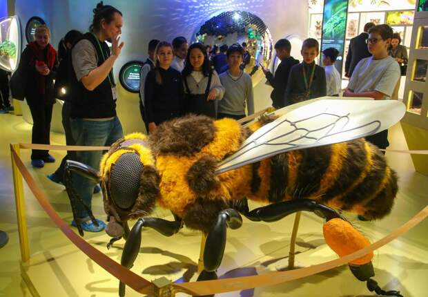 Энтомологическая лаборатория «Биокластера» на ВДНХ начнёт занятия для школьников 2 января