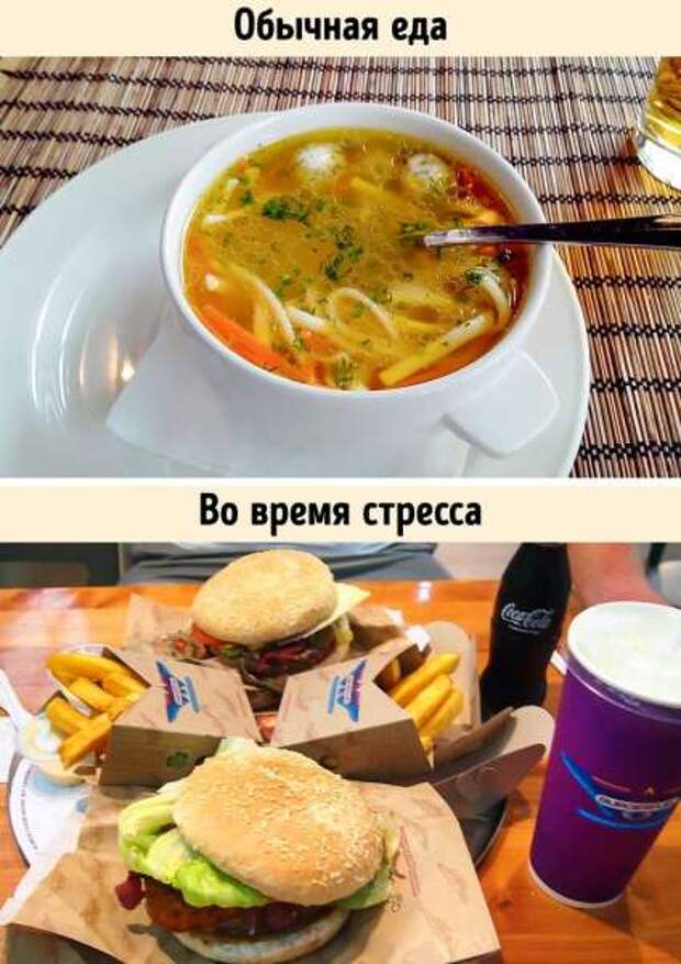 Где кроются настоящие причины переедания