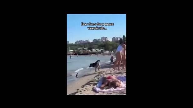 Video: Видео от Донецкая группа новостей|Донецк.ДНР