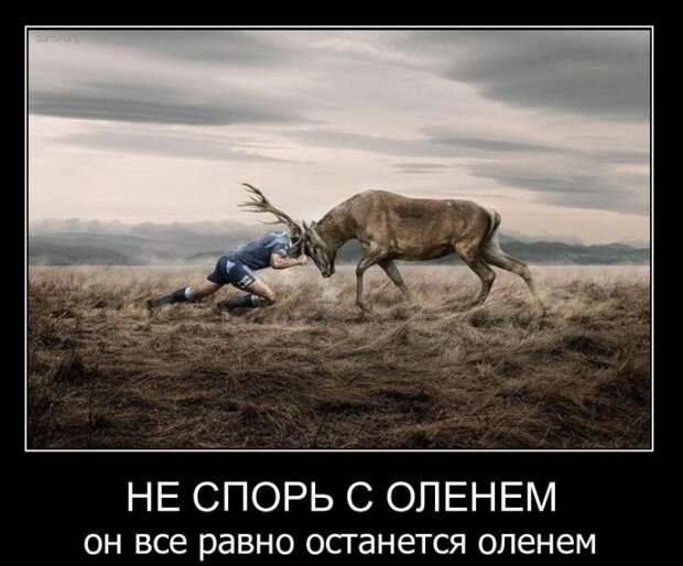 Демотиваторы (38 фото) Демотиваторы (38 фото)