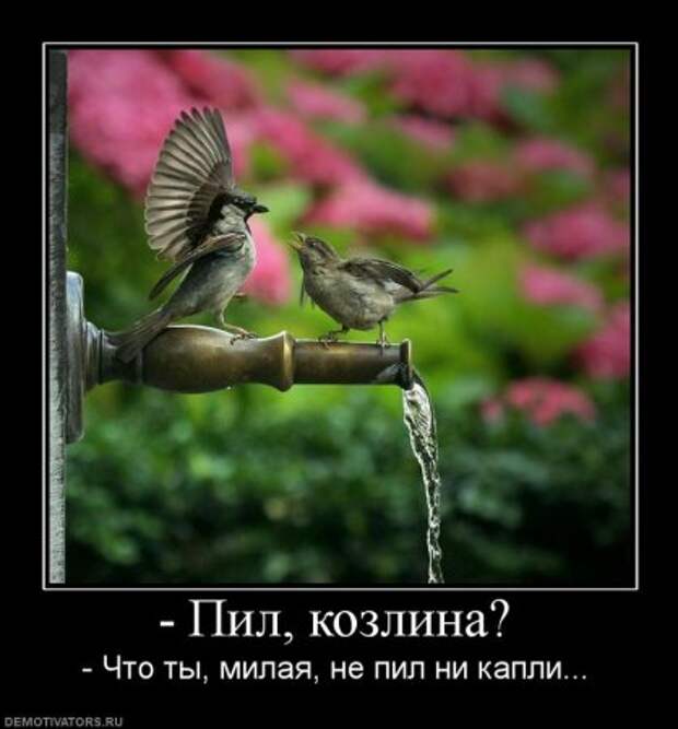 Порция хороших демотиваторов.