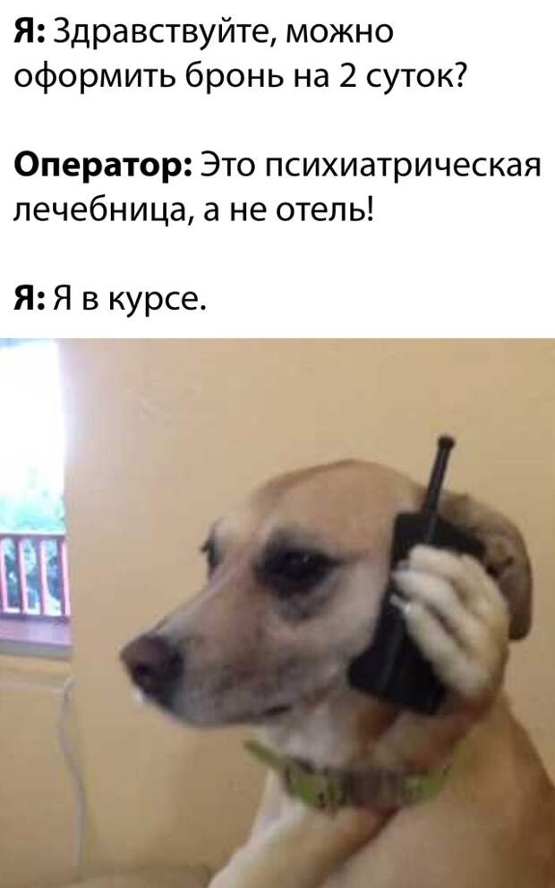 Смешные картинки 26 января 2022 года