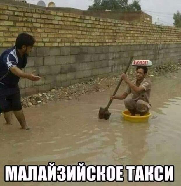 Картинки. Картинки.