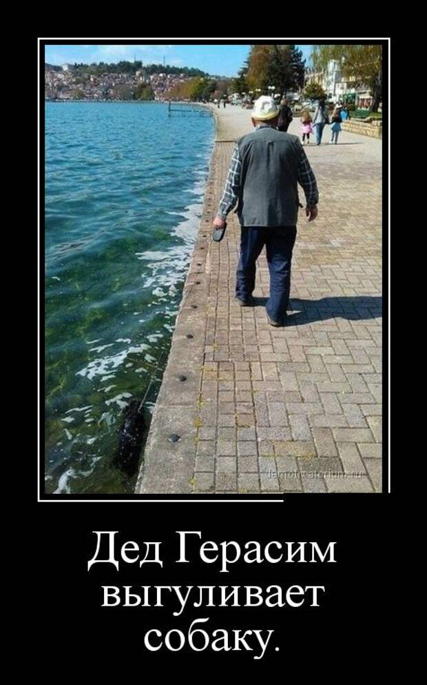Демотиваторы (30 фото)