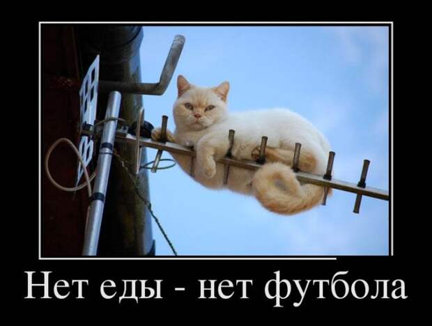 Демки