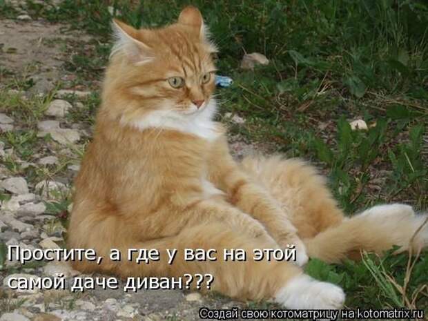 Давайте улыбаться вместе :)