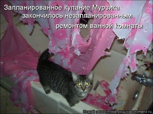 Котоматрица на Бугаге (28 фото)