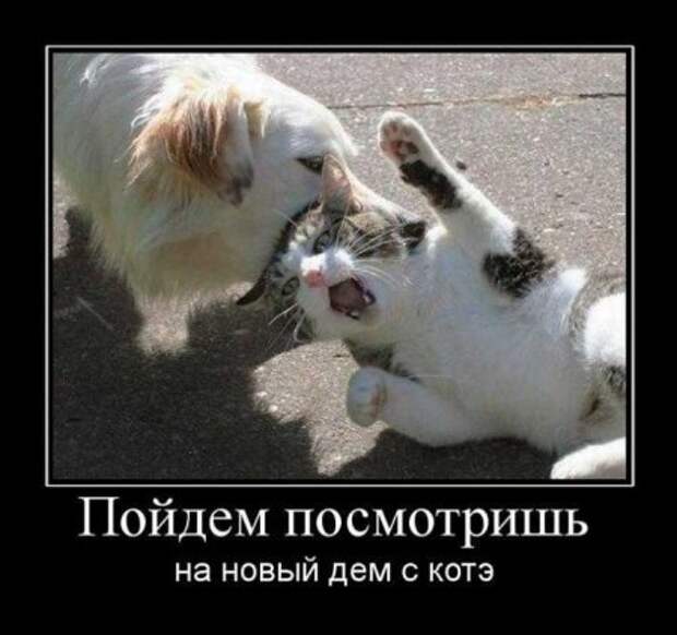 Демотиваторсы с приколом.