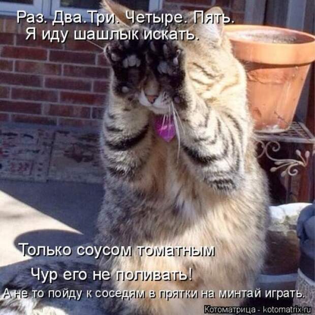 Замечательная котоматрица (27 фото)