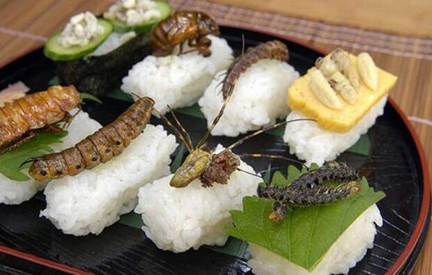 Только на родине японской кухни можно заказать суши и роллы с насекомыми. в мире, люди, прикол, япония