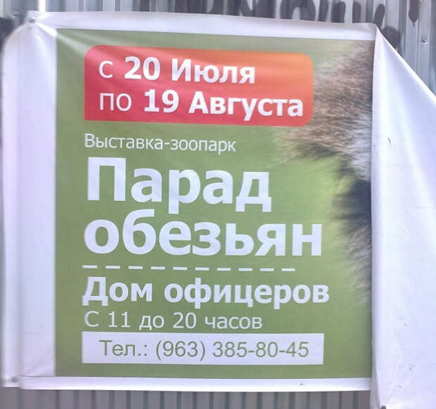 маразмы рекламы 