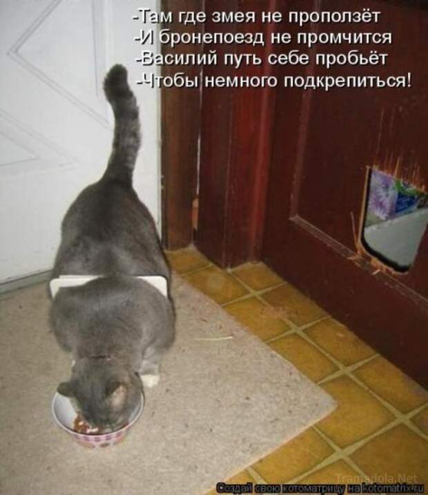 Несерьезные отношения (котоматрица)