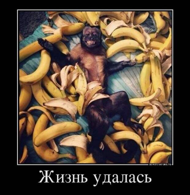 Новые демотиваторы-приколы (19 шт)