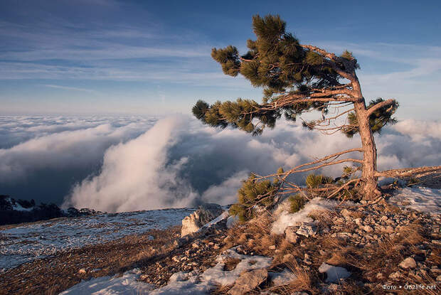 Пейзажи зимнего Крыма