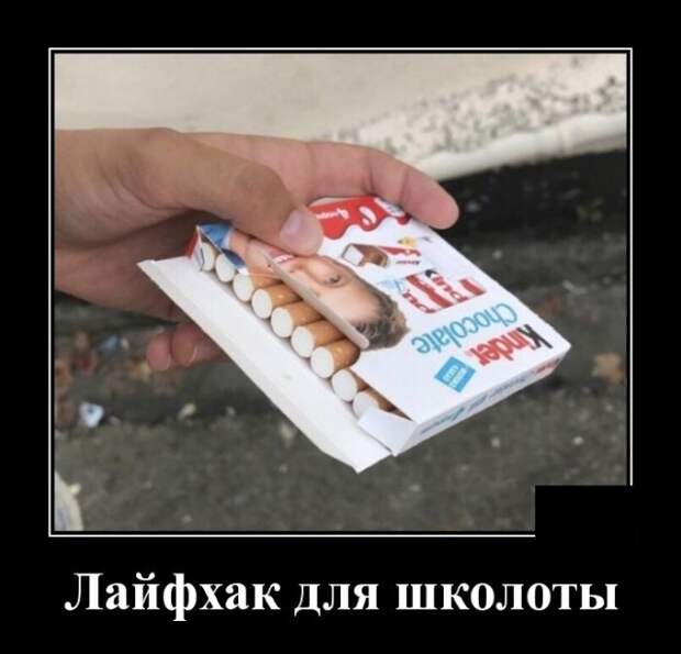 Демотиваторы (20 фото)
