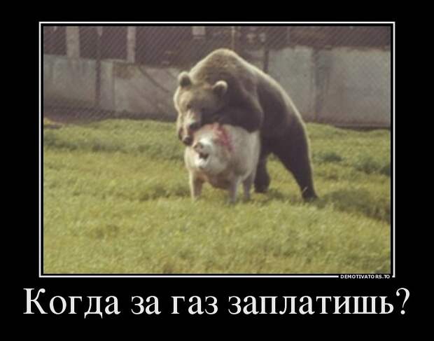 Демотиваторы демотиваторы, позитив