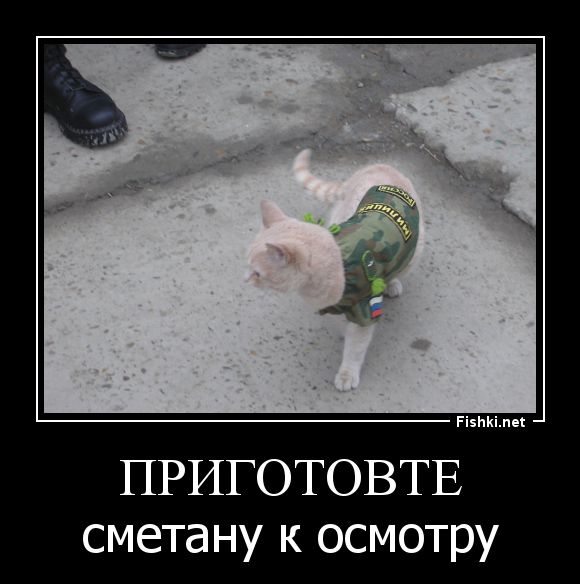 Демотиваторы  демотиваторы, прикол, смех, юмор