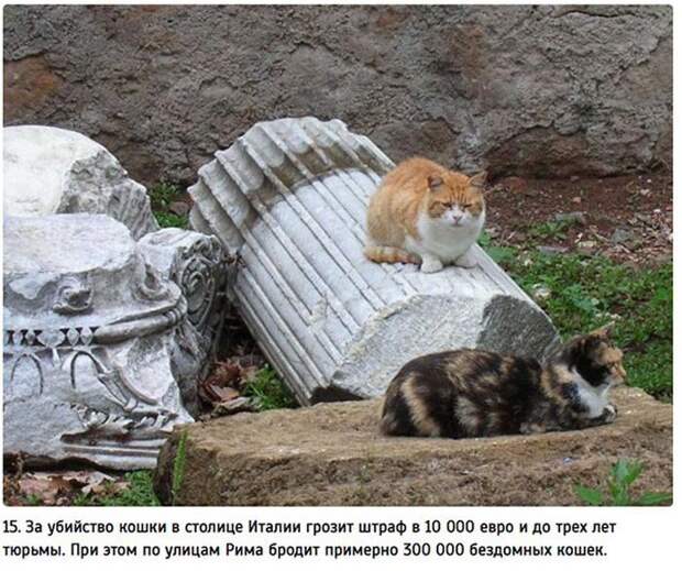 Факты об Италии (25 фото) Факты об Италии (25 фото)