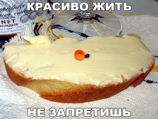 Смешные картинки с надписями прикол, юмор