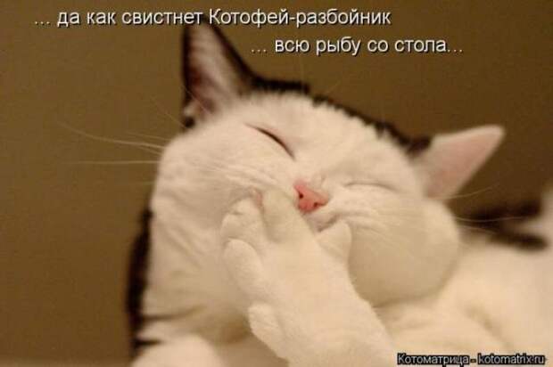 Позитивные зверушки. Весёленькие фото Позитивные зверушки. Весёленькие фото
