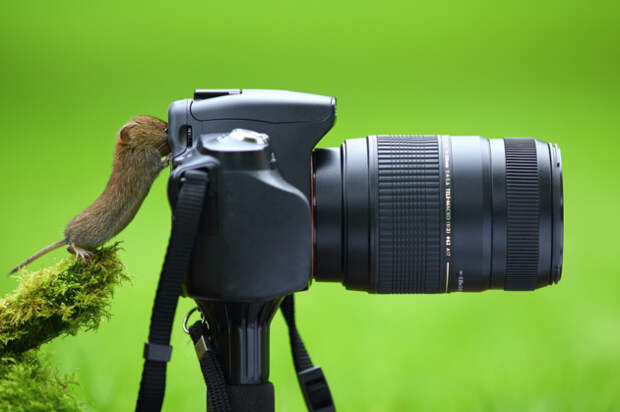10 лучших фотографий с участием фотоаппарата