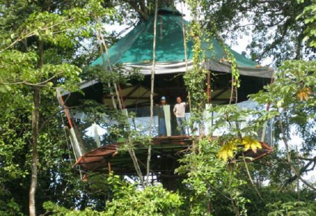 http://www.costaricajourneys.com/wp-content/uploads/2014/06/Nature-Observatorio-tree-ho.jpg