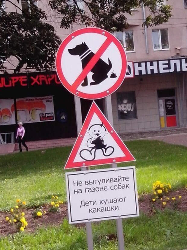 маразмы в жизни (2)