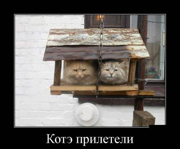 Классная демотивация Классная демотивация