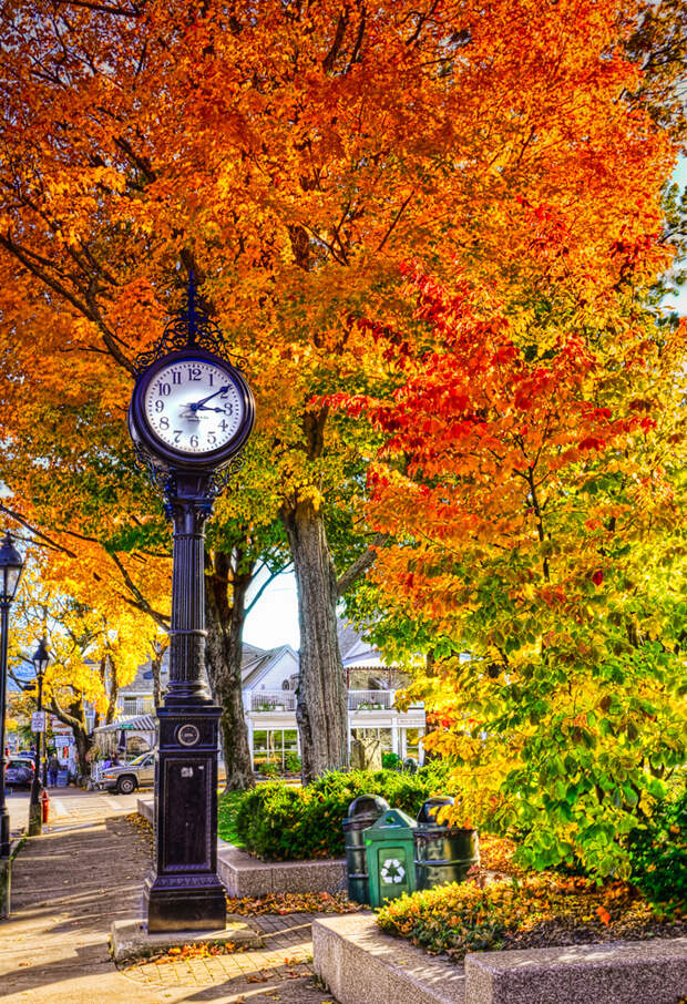 Teatime in Bar Harbor