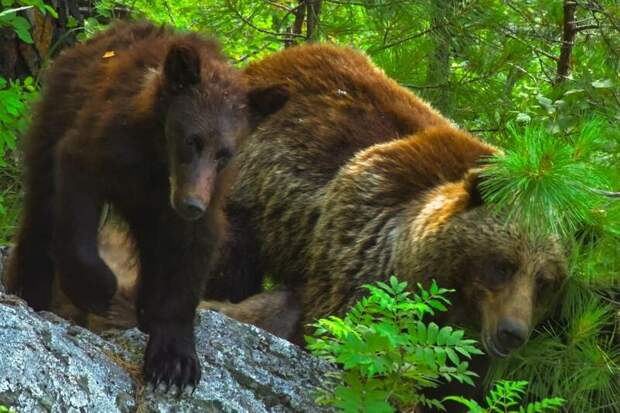 Фото: Роман и Татьяна Воробьевы