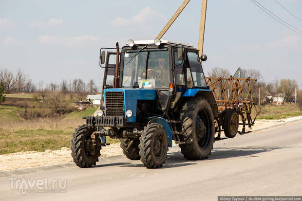 Сафари парк "Кудыкина Гора". Место, куда нужно приехать с детьми / Фото из России