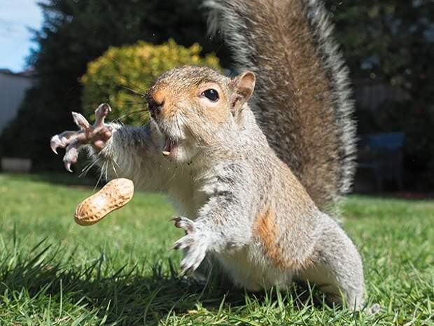 perfectly-timed-photos-4-43__605