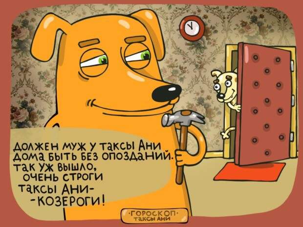 Найди свой знак в гороскопе таксы Ани гороскоп, такса