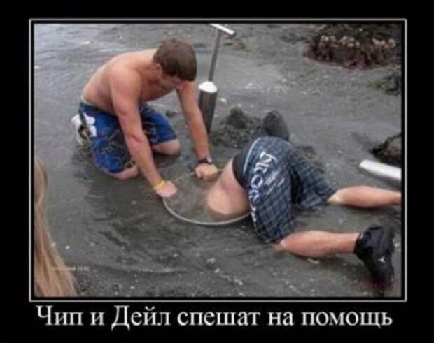 Ржачные демотиваторы и прикольные фотки.