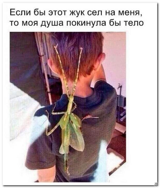 Чудные надписи из соцсетей 24